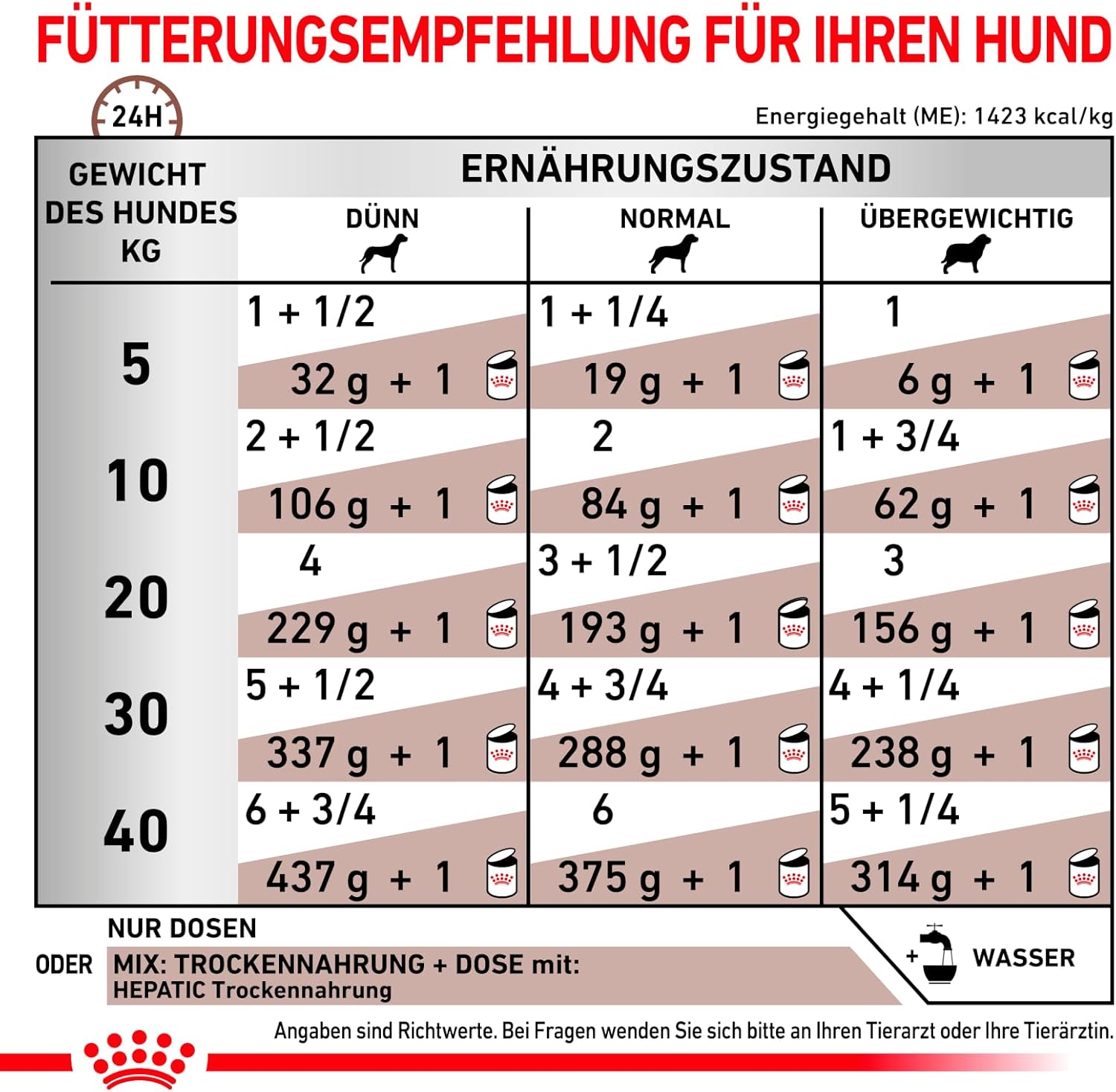 1771098827 71ZwQ9alDEL. AC SL1500 .jpg