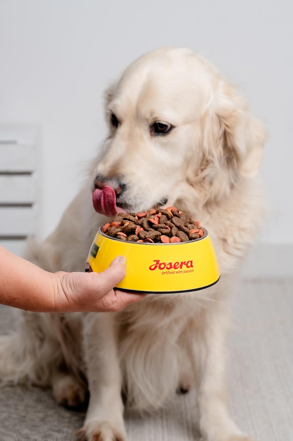 1771338874 61D9rFHqFsL. AC SL1500 .jpg