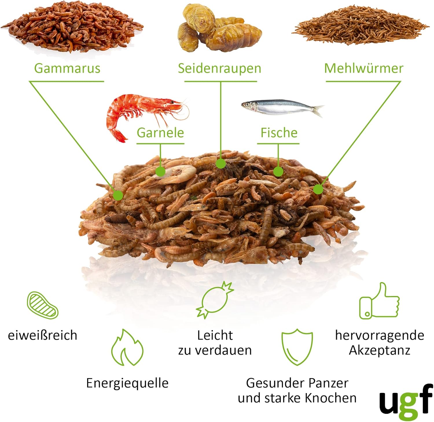 1771536159 81j4DgCE eL. AC SL1500 .jpg