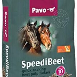 1771601352 41A Re33g3L. AC .jpg