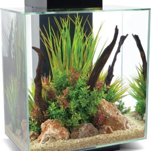 1771616880 91eR7aLOS4L. AC SL1500 .jpg