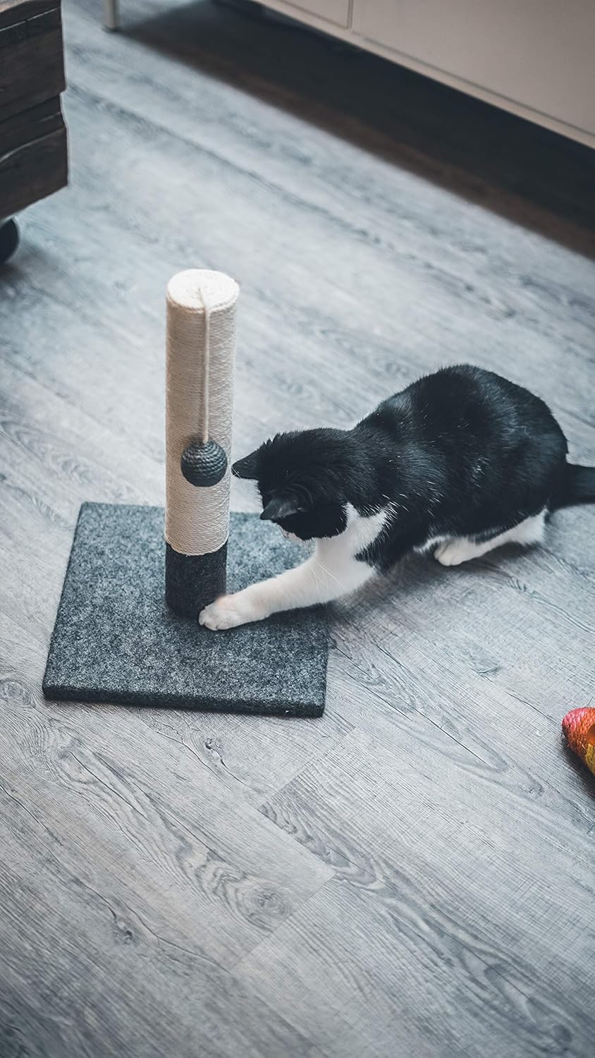 1771628006 81HbazRNDNL. AC SL1500 .jpg