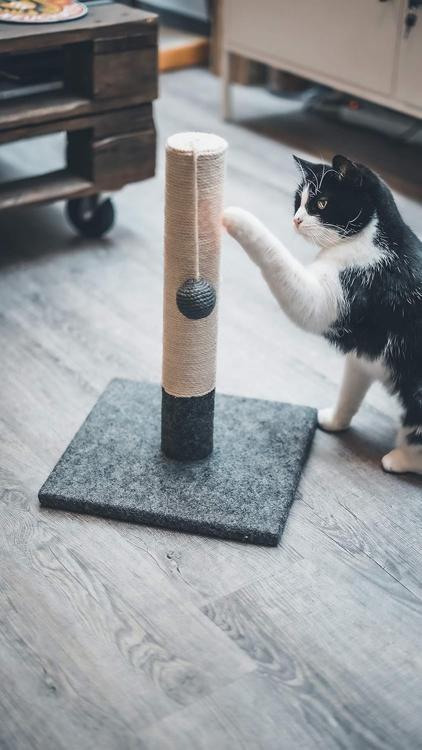 1771628007 81XlsgrxoFL. AC SL1500 .jpg