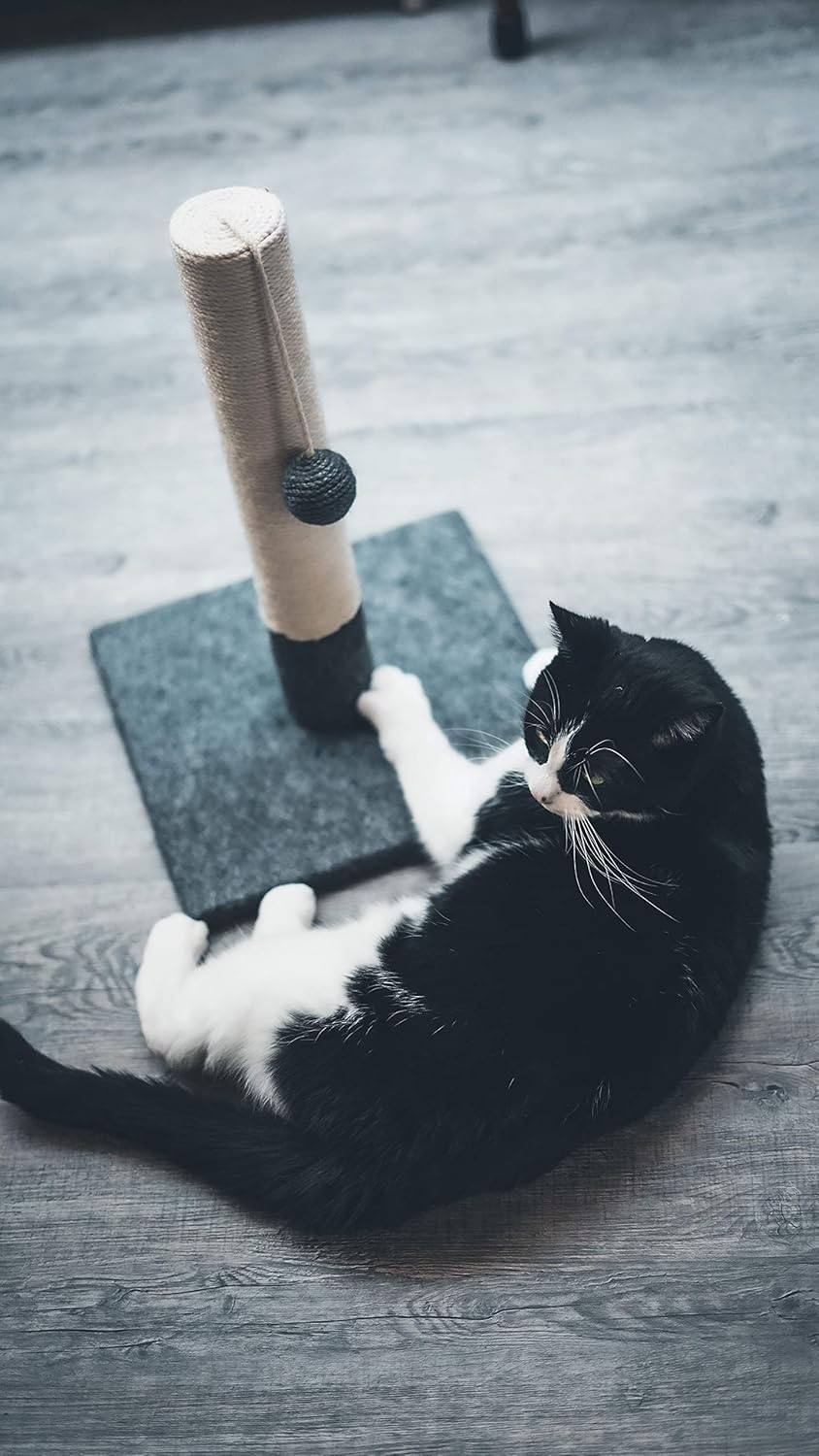 1771628009 81I0wyUKb6L. AC SL1500 .jpg