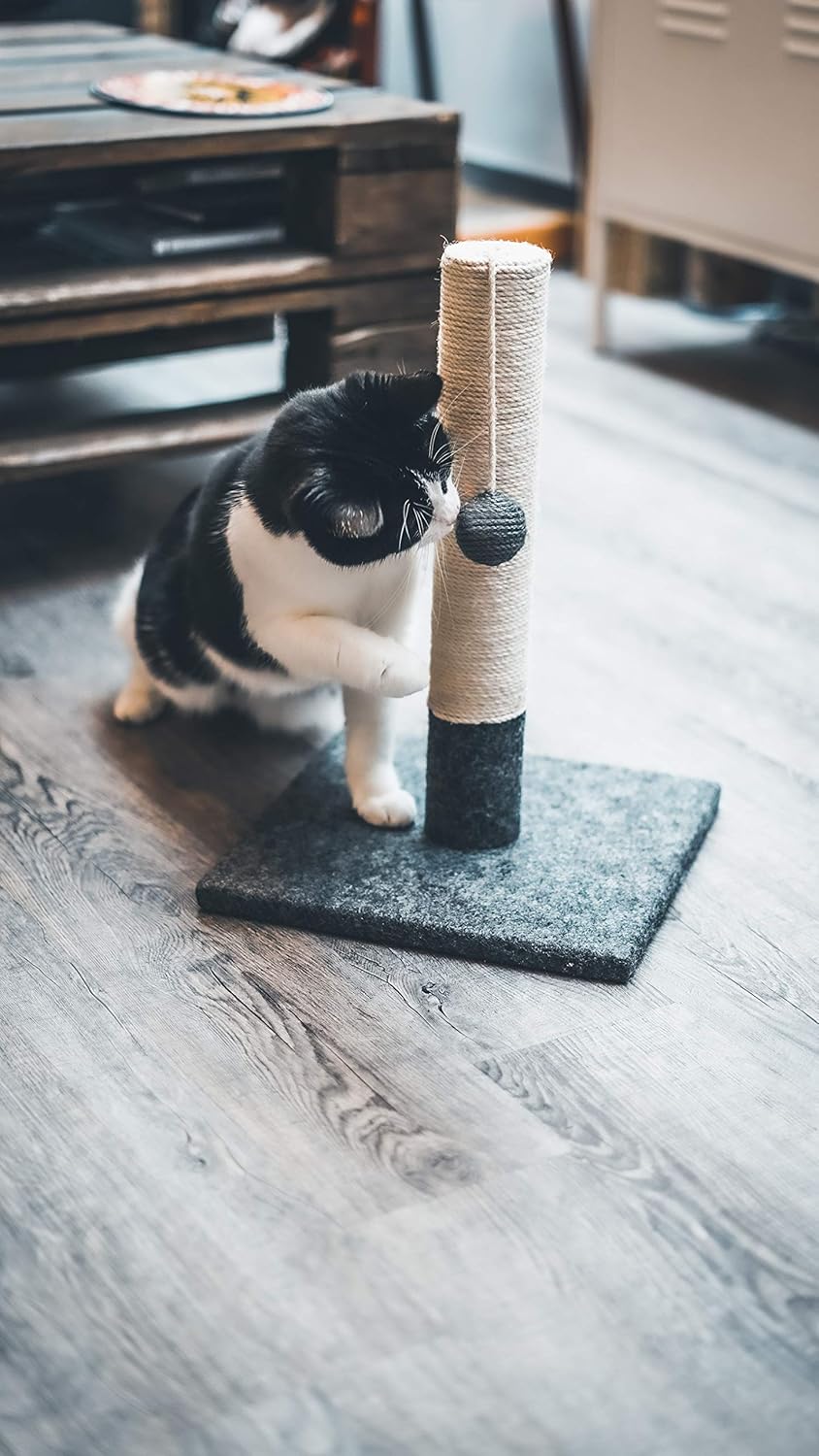 1771628014 81lOhrNNJGL. AC SL1500 .jpg