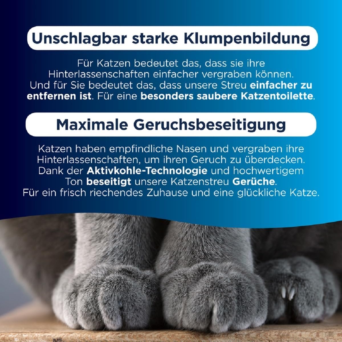 1771628262 719AfbDTQdL. AC SL1200 .jpg