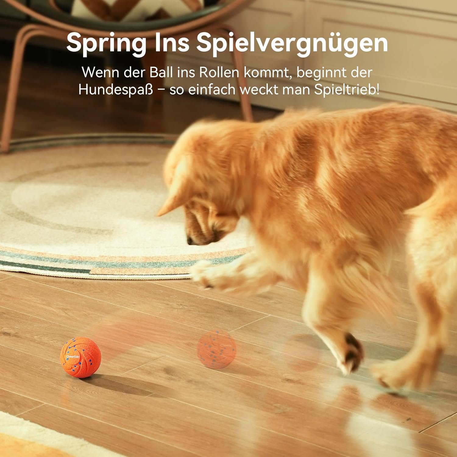 1771628750 71XRYgJj IL. AC SL1500 .jpg