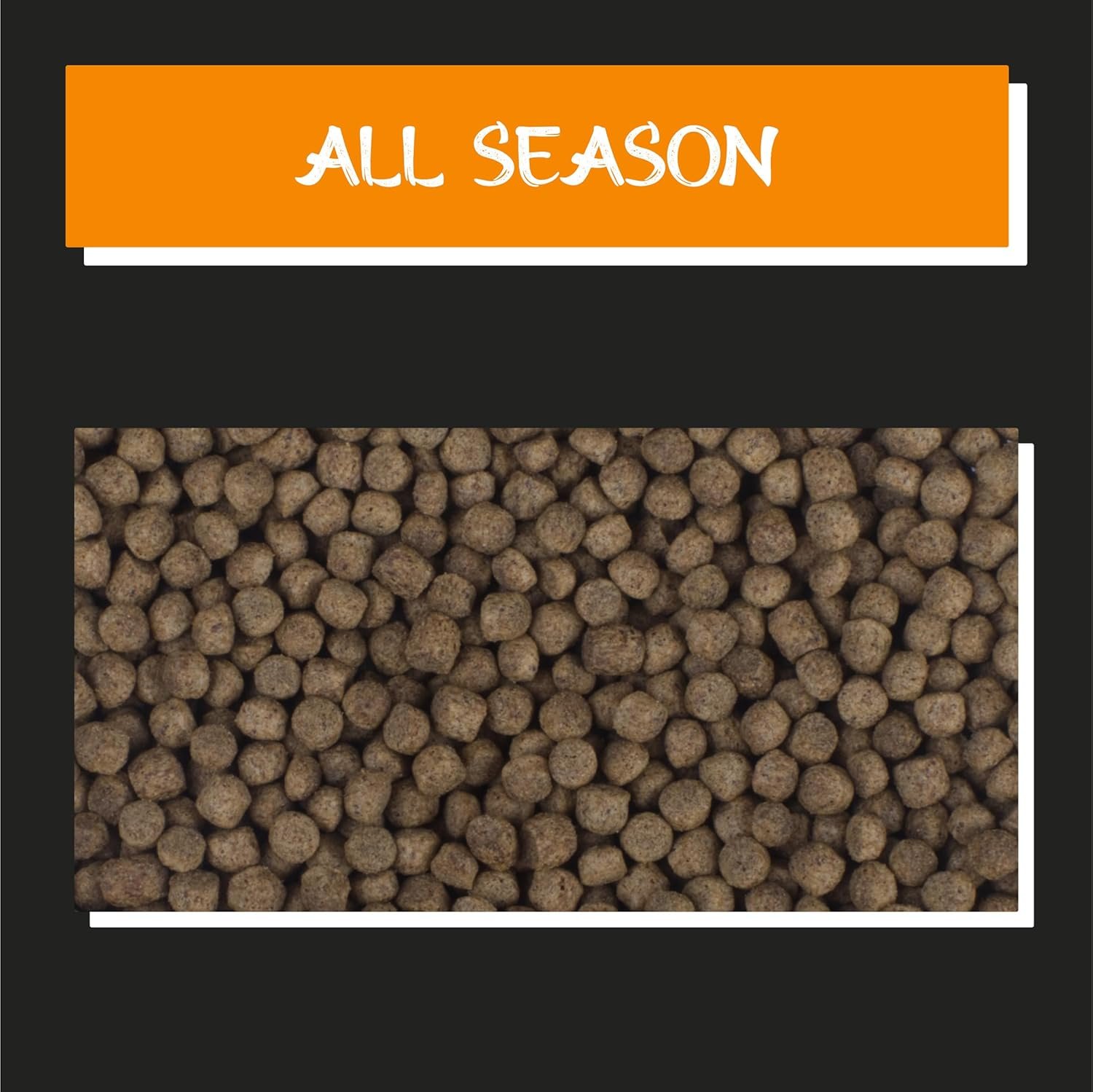 1771631650 81ph4E00wRL. AC SL1500 .jpg