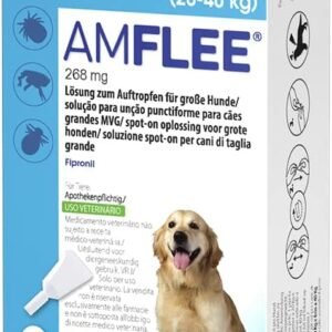 1771647284 61Rb wnuKxL. AC SL1500 .jpg