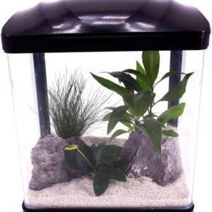 1771680485 61tf 4dJfL. AC SL1000 .jpg