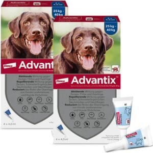 1771700473 61wpkmehIjL. AC SL1000 .jpg