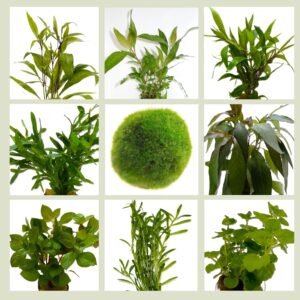 1771725775 81rrKjI9ieL. SL1500 .jpg