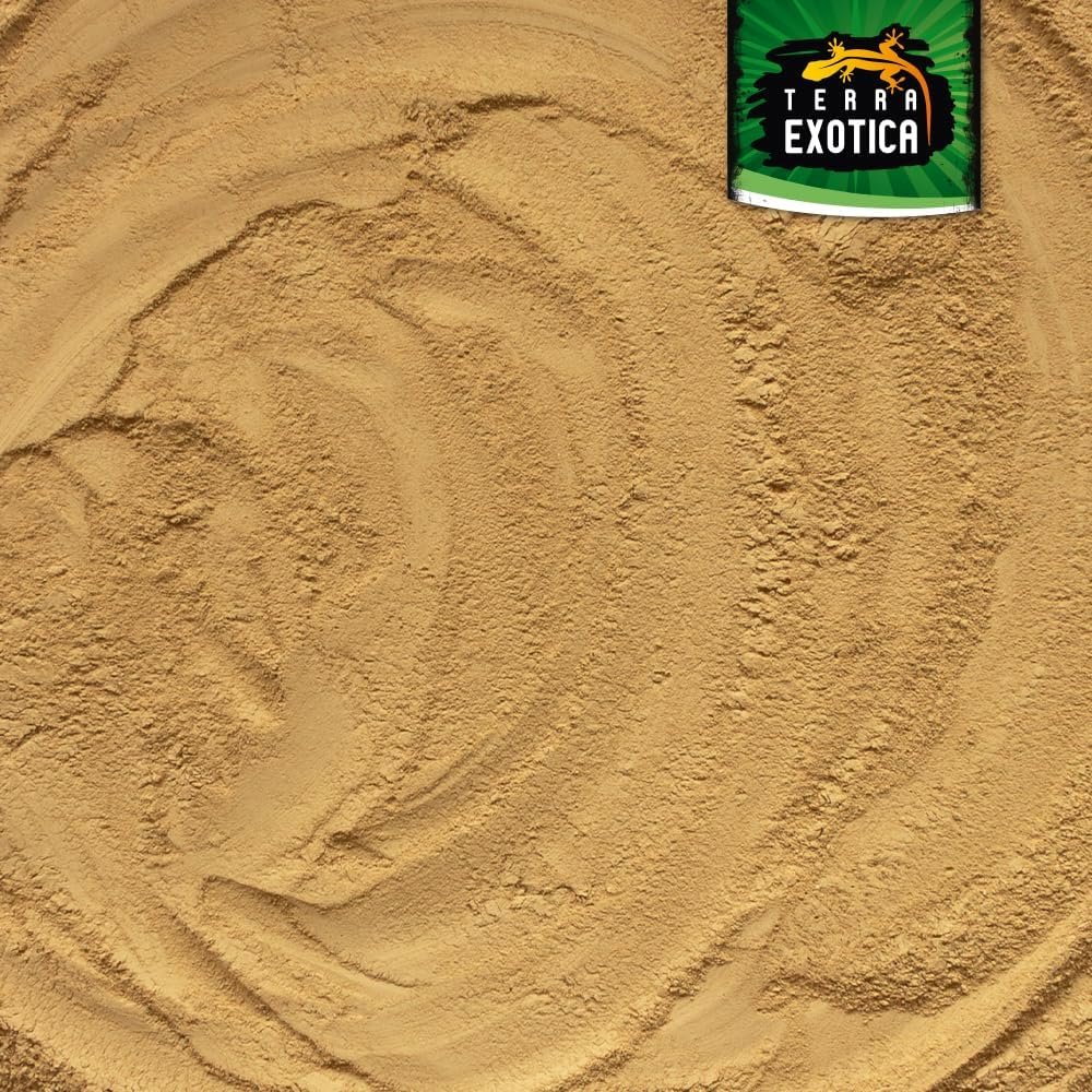 1771787116 71KqoM0NCWL. AC SL1000 .jpg