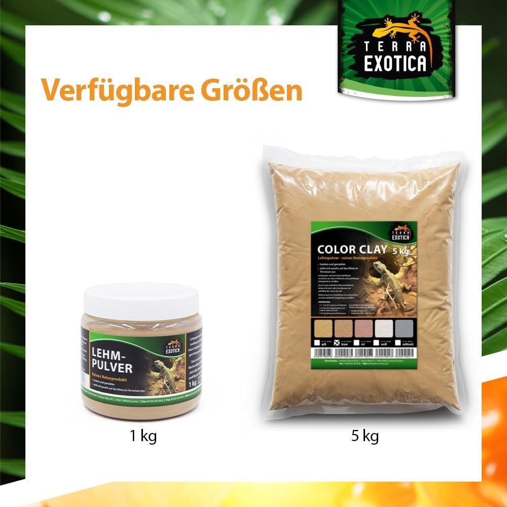 1771787126 61dOBoeiCkL. AC SL1000 .jpg