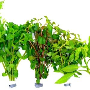 1771790056 71LDZMsE1LL. AC SL1500 .jpg