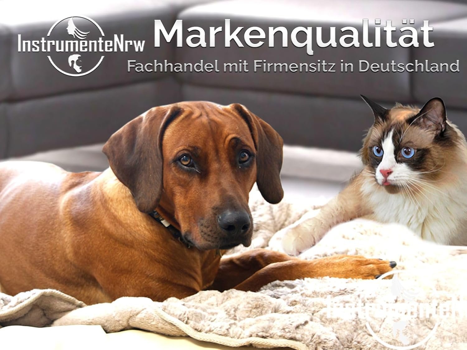 1771815191 71qQMQdmTrL. AC SL1500 .jpg