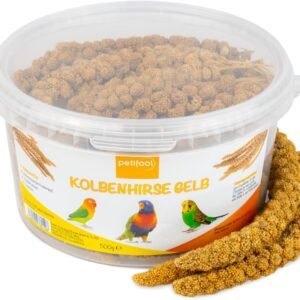 1771817944 61gQSeeolkL. AC SL1500 .jpg