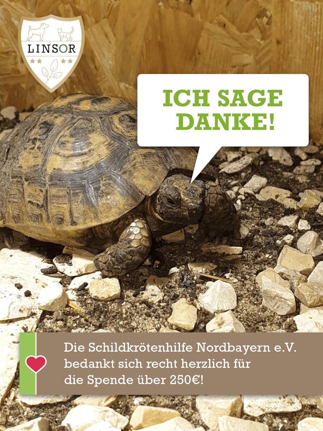 1771843789 81lggHSmjL. AC SL1500 .jpg