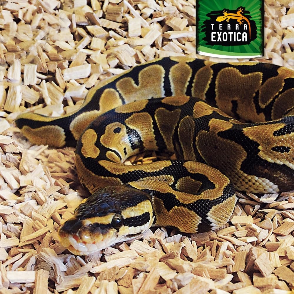 1771854483 719GurFUcuL. AC SL1000 .jpg