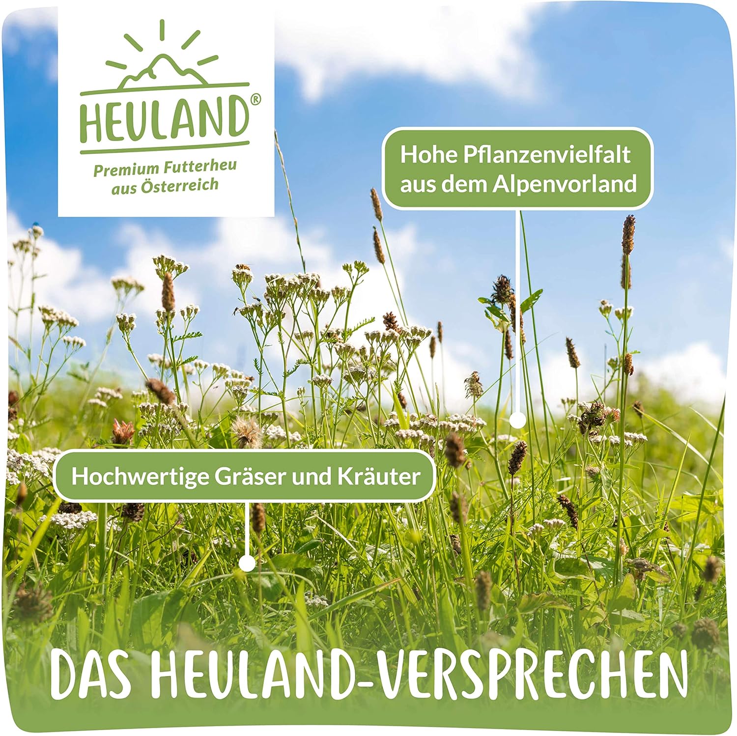 1771867419 91gHk5k1ZL. AC SL1500 .jpg