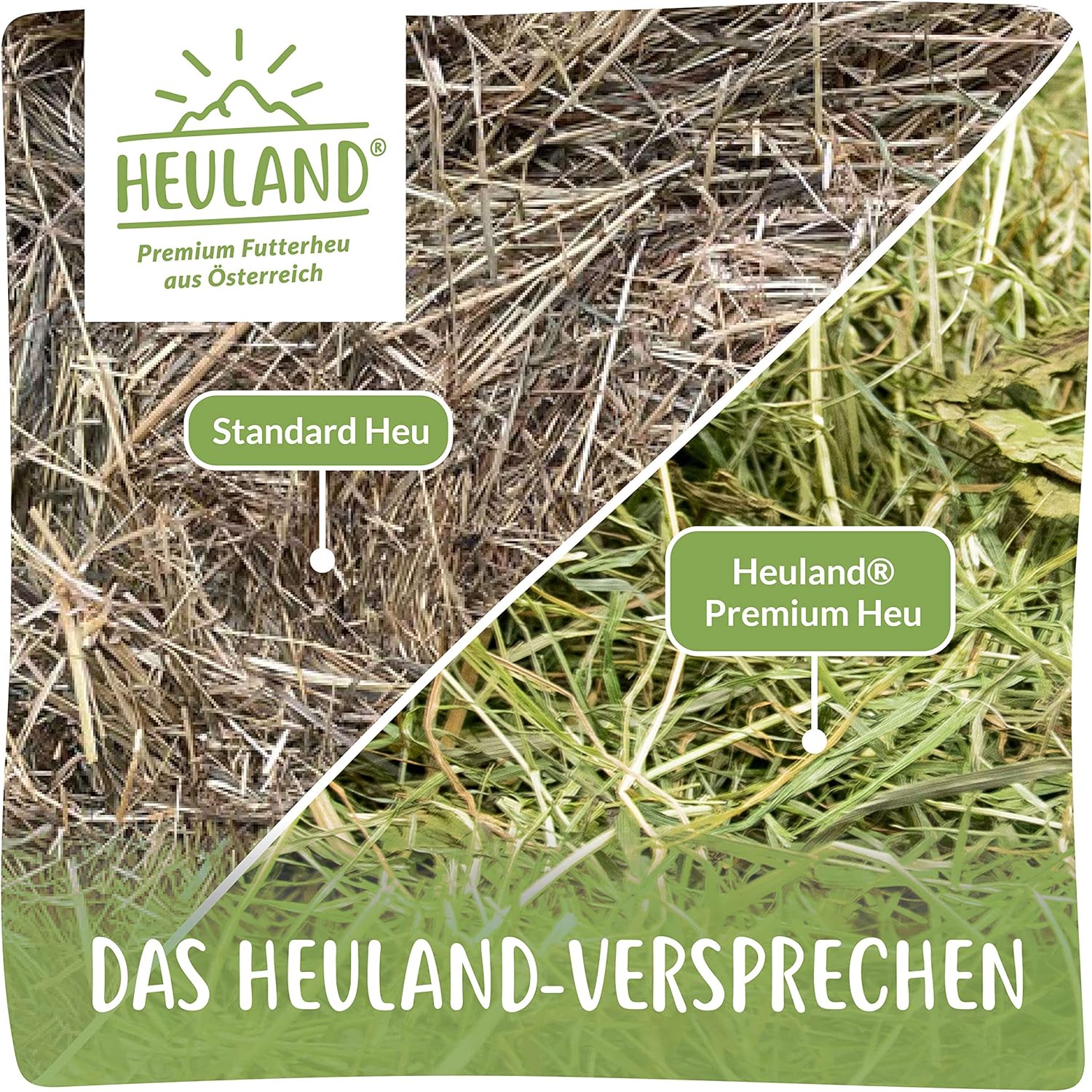 1771867421 91lSjXT5stL. AC SL1500 .jpg