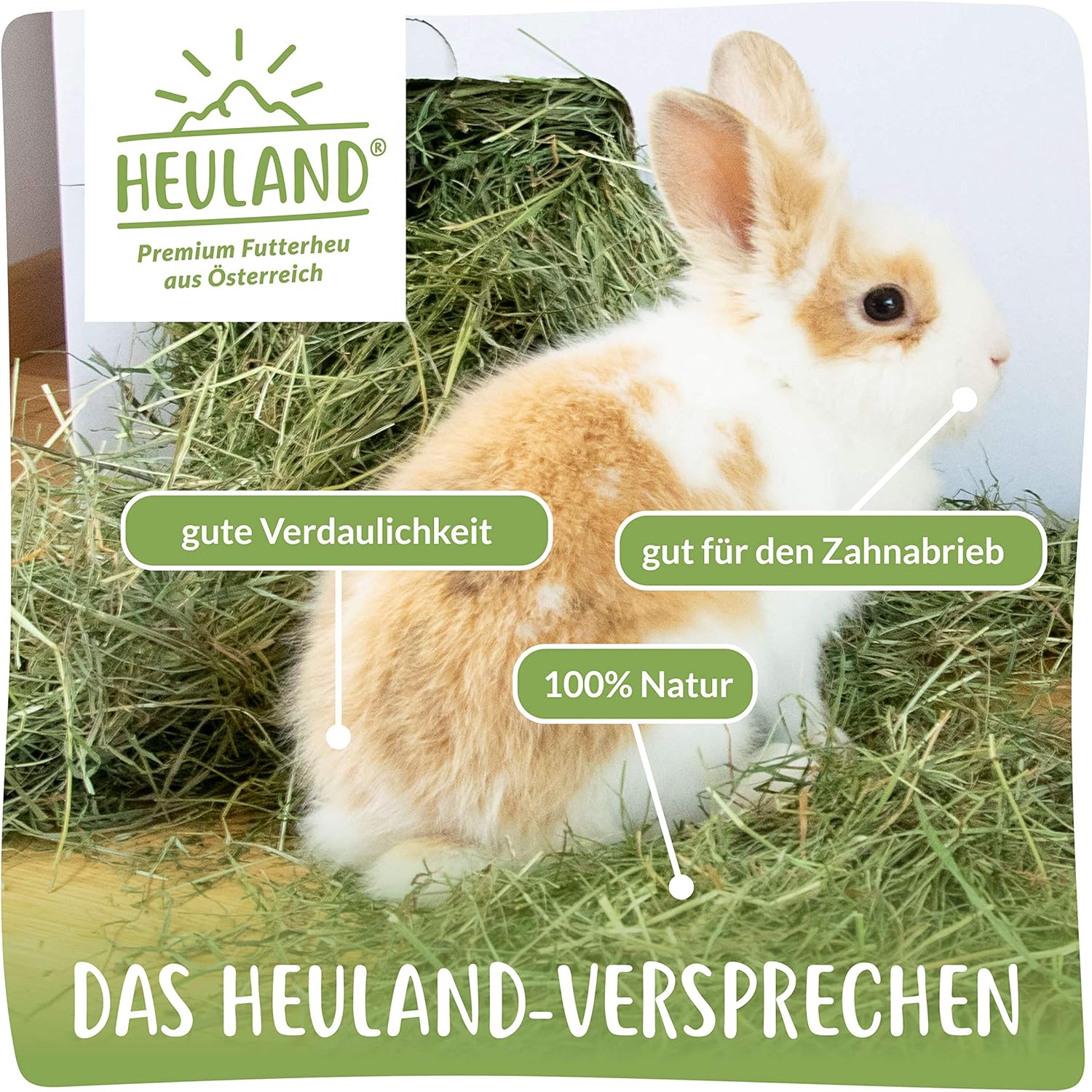 1771867423 91iFOyXf aL. AC SL1500 .jpg