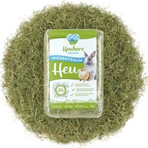 1771871097 91YEC2a 3hL. AC SL1500 .jpg