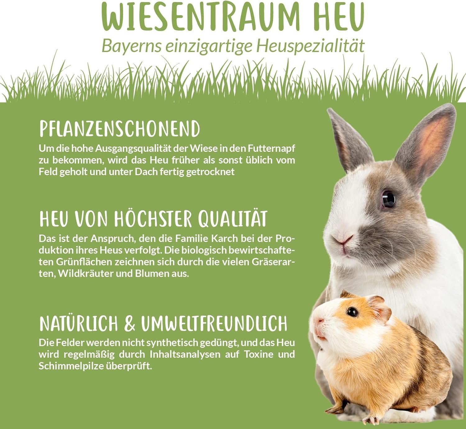 1771871099 71GP6MTjsLL. AC SL1500 .jpg