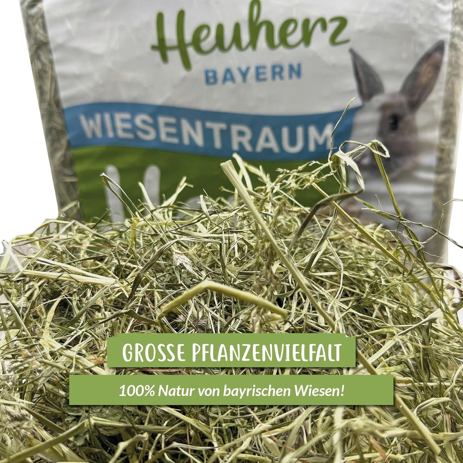 1771871101 81n3bMnjVZL. AC SL1500 .jpg