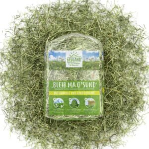 1771874743 91k1ndHXXoL. AC SL1500 .jpg