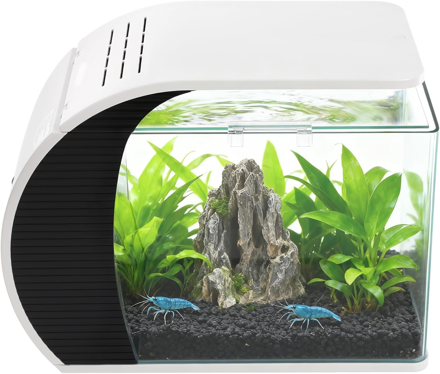 Kleines Glas-Aquarium,Aquarium 19L (5 Gal) Glas mit Einstellbarer LED-Beleuchtung,verdeckter Filterung,Wasserpumpe,Rechteckig für Guppys,Garnelen, kleine Fische und Krabben,Inneneinrichtung Kleines Glas-Aquarium,Aquarium 19L (5 Gal) Glas mit Einstellbarer LED-Beleuchtung,verdeckter Filterung,Wasserpumpe,Rechteckig für Guppys,Garnelen, kleine Fische und Krabben,Inneneinrichtung