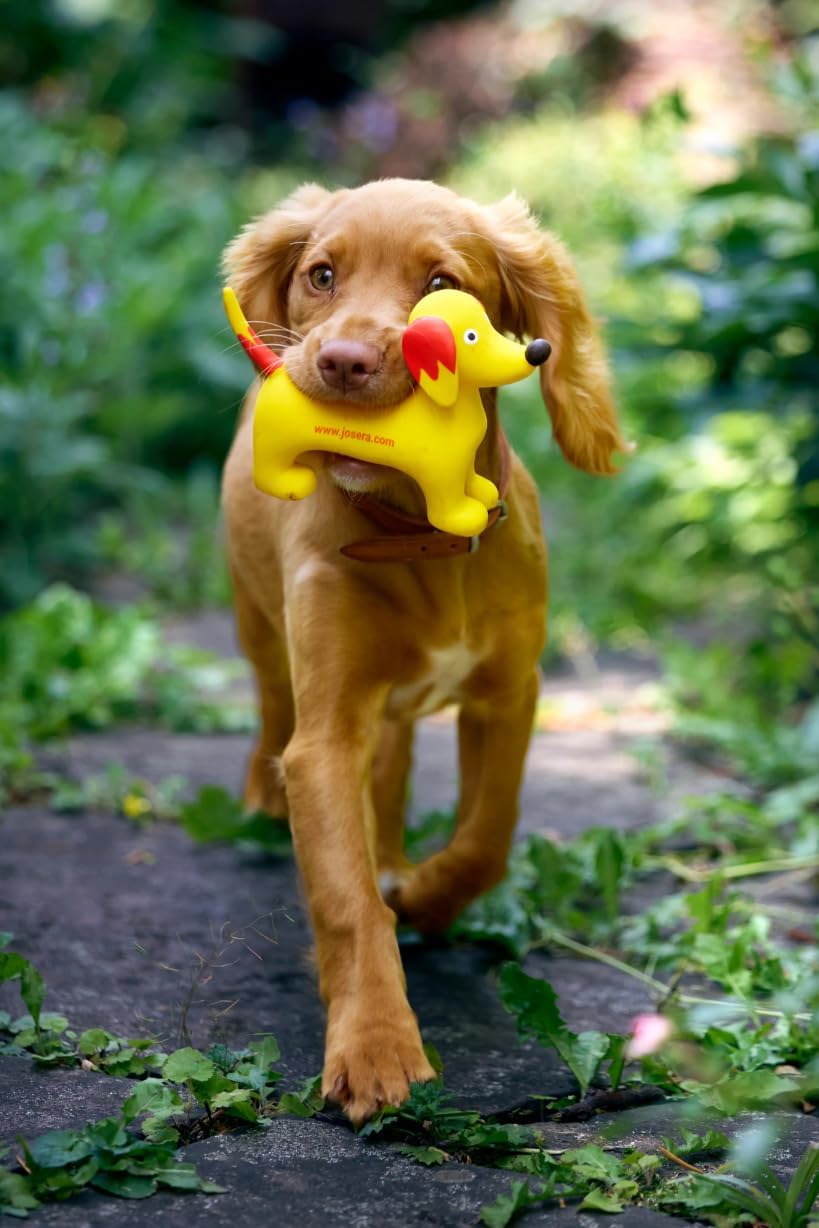 1771958990 61RlXkSMaEL. AC SL1228 .jpg