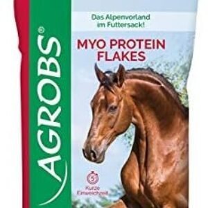 1771994514 417Upoz8DTL. AC .jpg