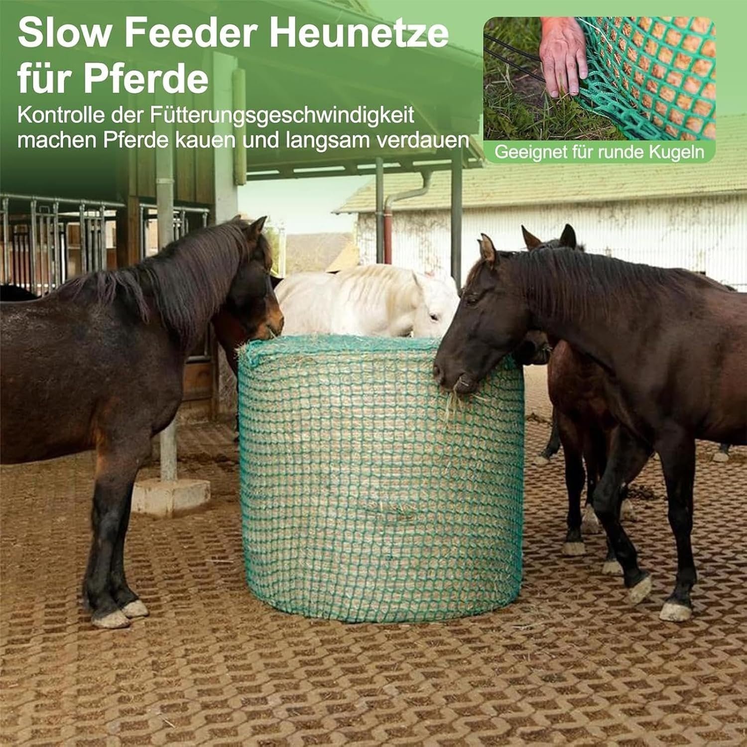 1772008899 81LWamFADL. AC SL1500 .jpg