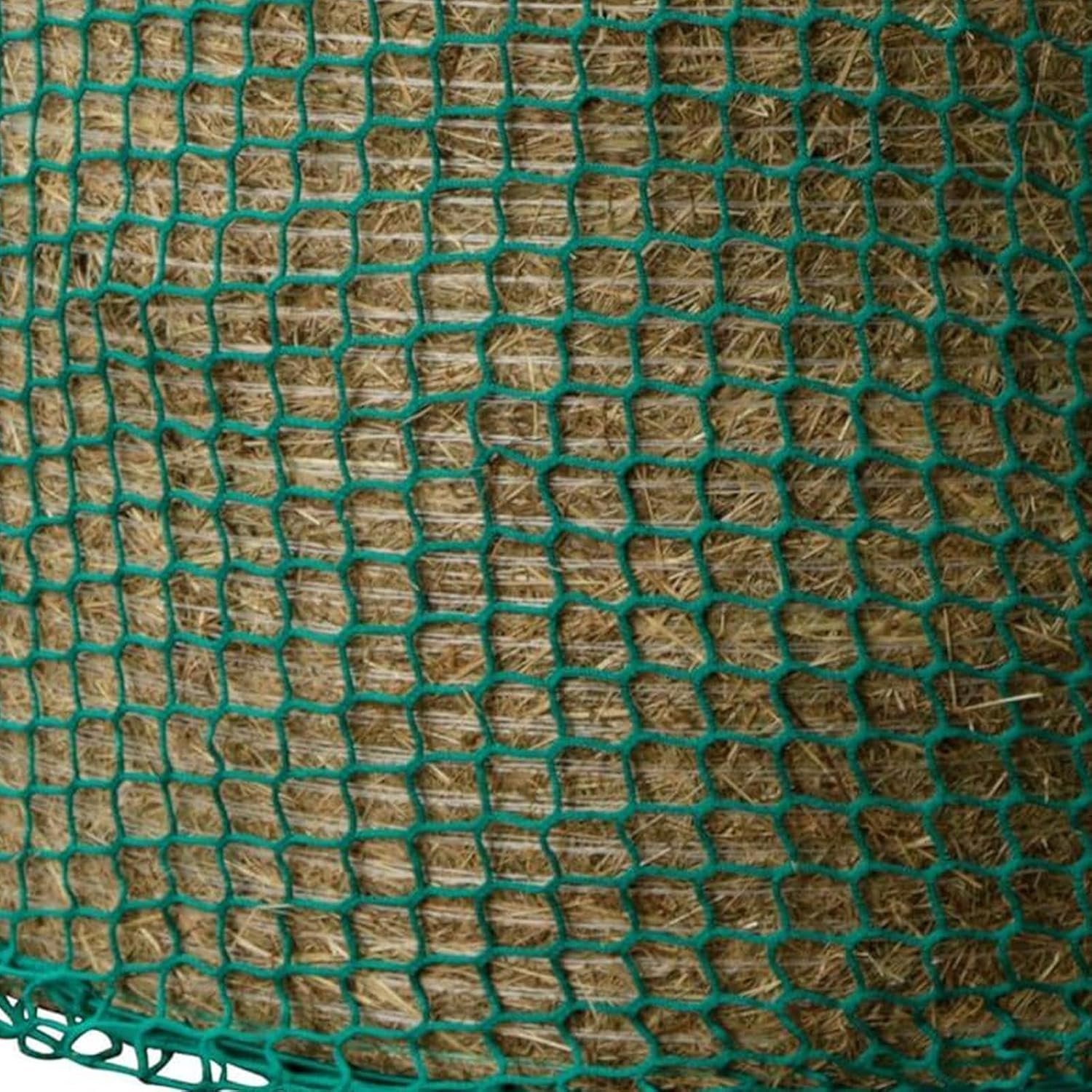 1772008910 81Rxj 3rvtL. AC SL1500 .jpg