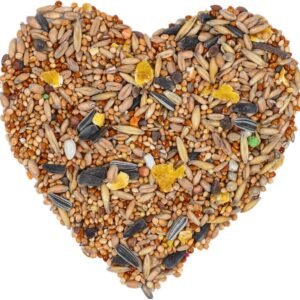 1772027620 81uU3OH2JL. AC SL1500 .jpg