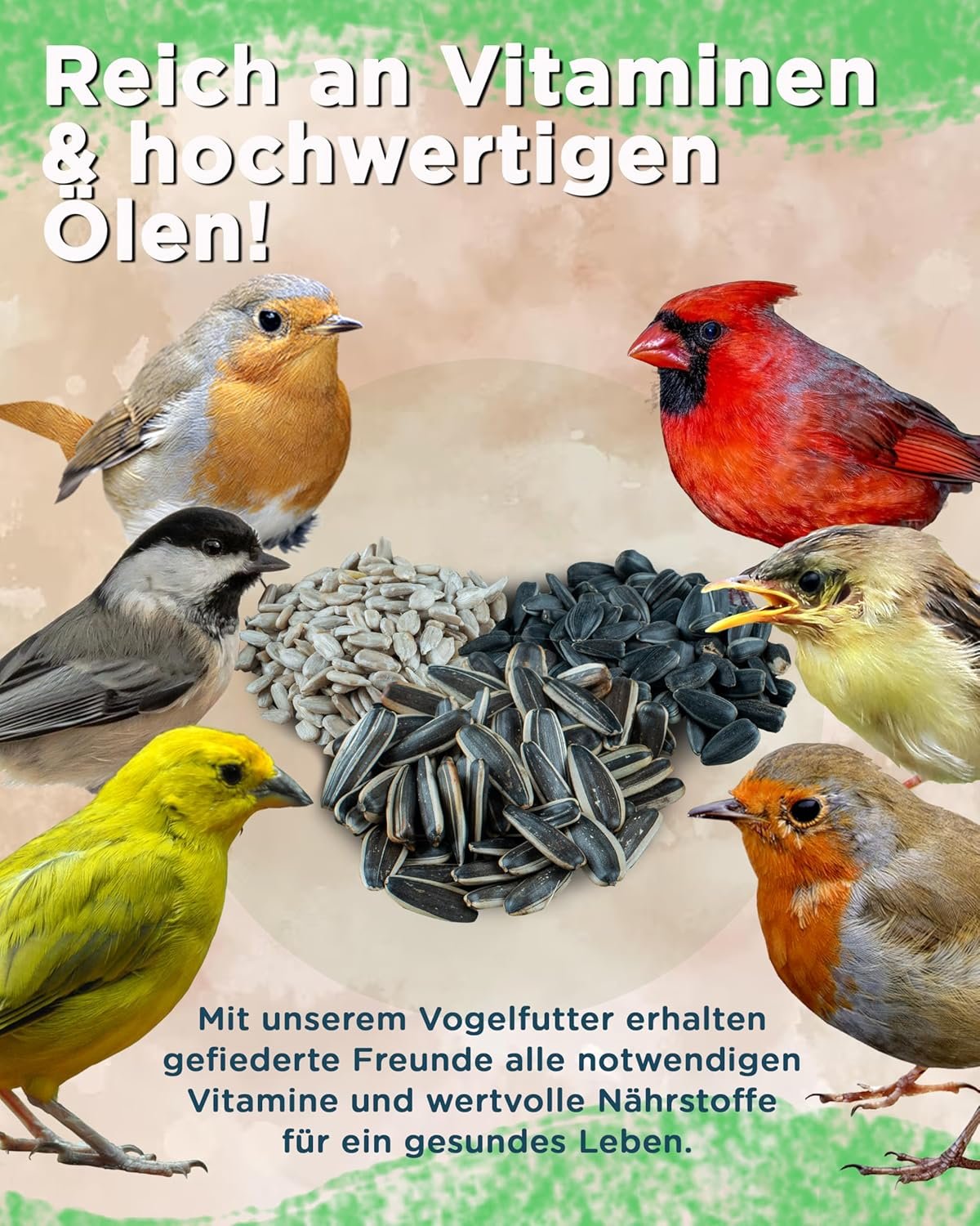 1772080695 91tQvTofHjL. AC SL1500 .jpg