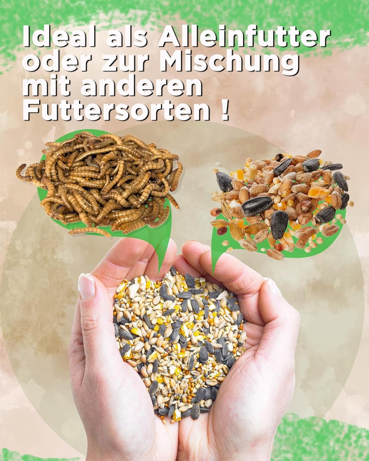 1772080698 81Sd 6SHhLL. AC SL1500 .jpg