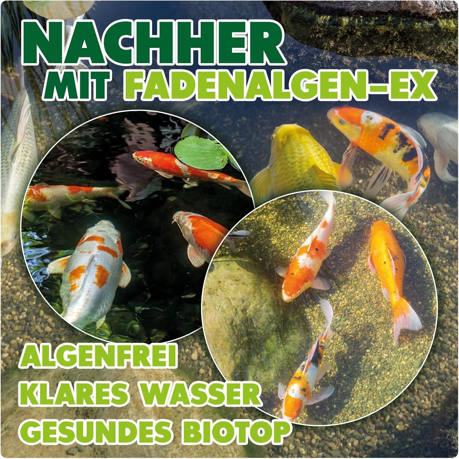 1772153197 81tMhvtLy8L. AC SL1500 .jpg