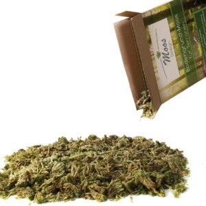 1772158539 71 rmuScBpL. AC SL1500 .jpg