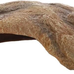 1772177797 51YA7KWrHeL. AC SL1000 .jpg