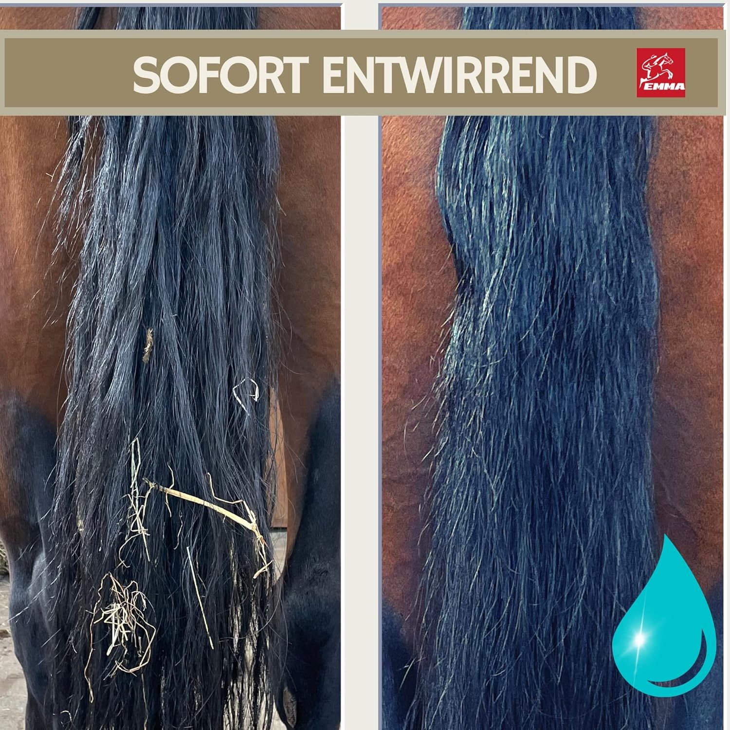 1772186271 91ih J1RfxL. AC SL1500 .jpg