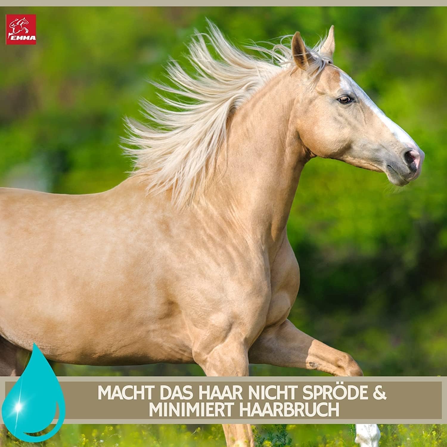 1772186278 71UHev2ePRL. AC SL1500 .jpg