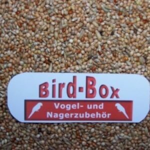 1772193357 51JBVNrbvL. AC .jpg