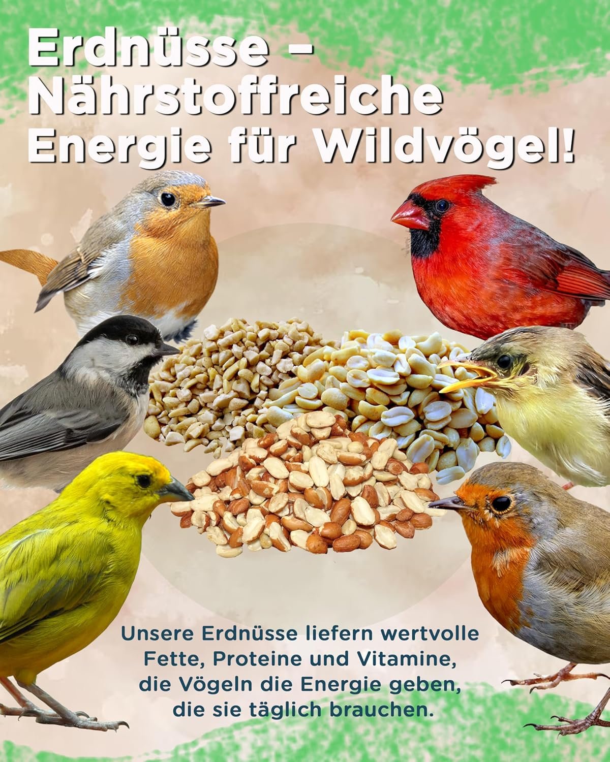 1772239023 915qhKspBkL. AC SL1500 .jpg