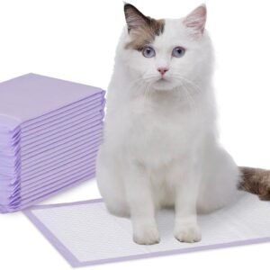 1772244680 61ZAoZCCn9L. AC SL1500 .jpg