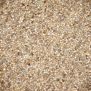 1772254289 81uoTyUDxBL. AC SL1500 .jpg