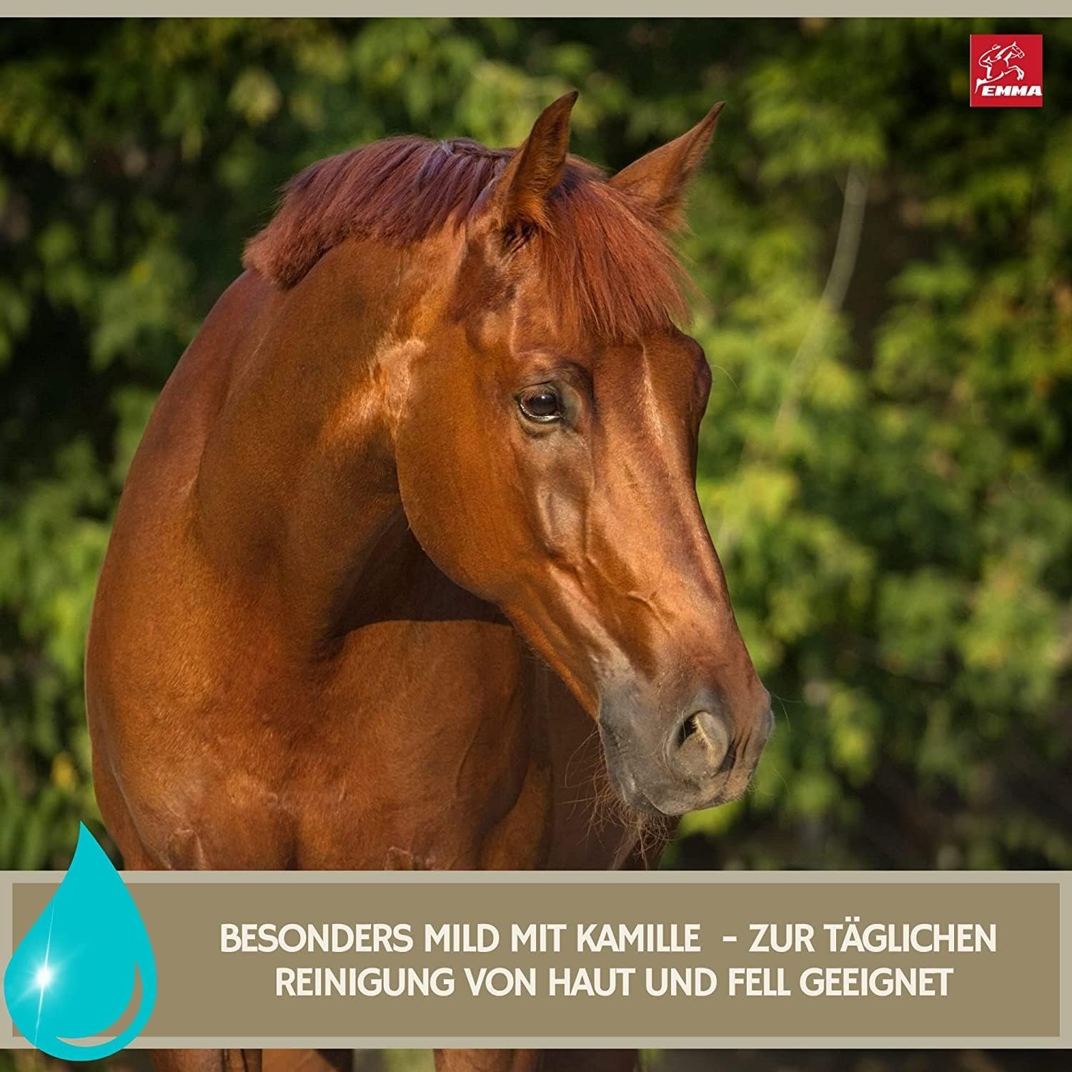 1772258357 71pCr5b8L. AC SL1500 .jpg