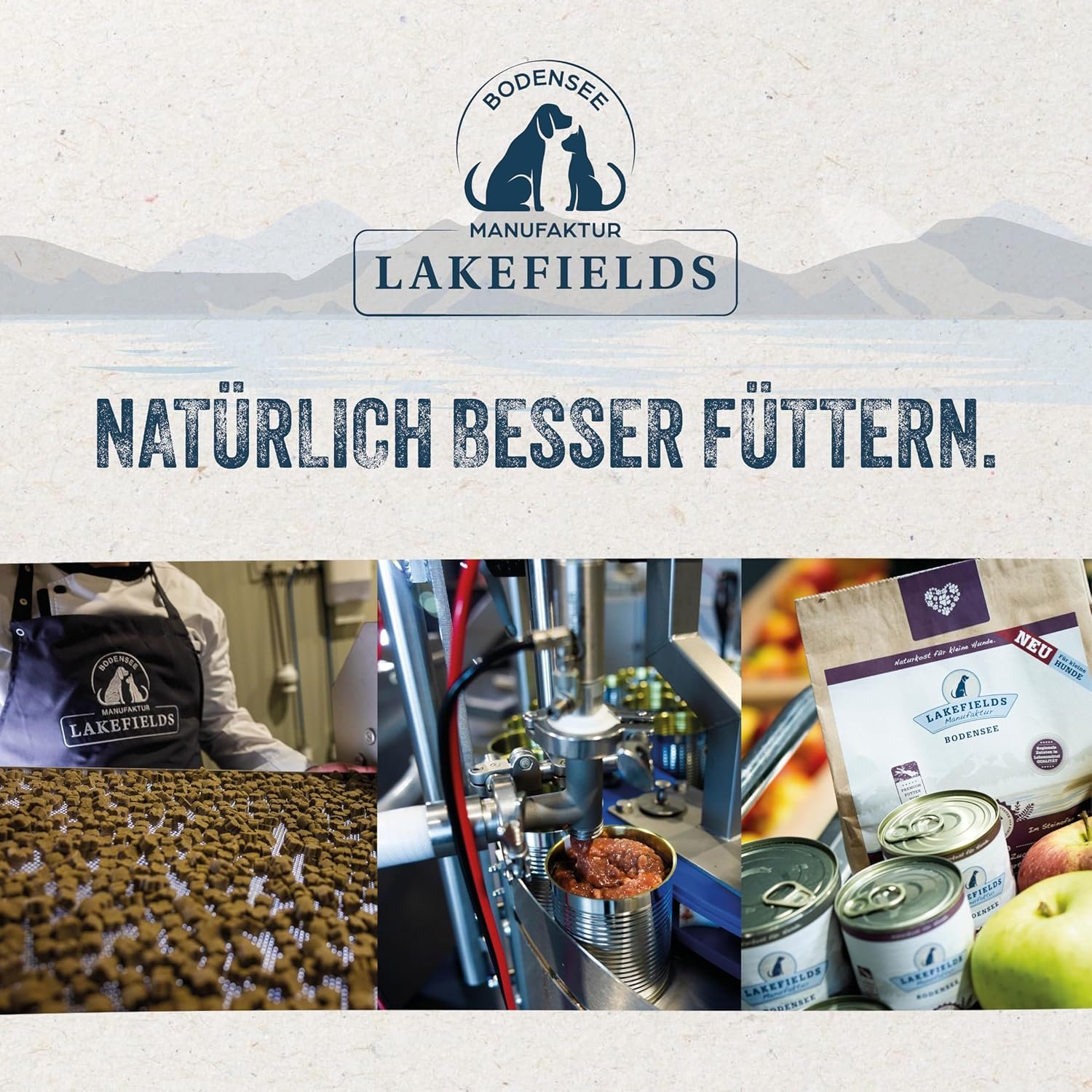 1772297680 91P8WHUCTnL. AC SL1500 .jpg