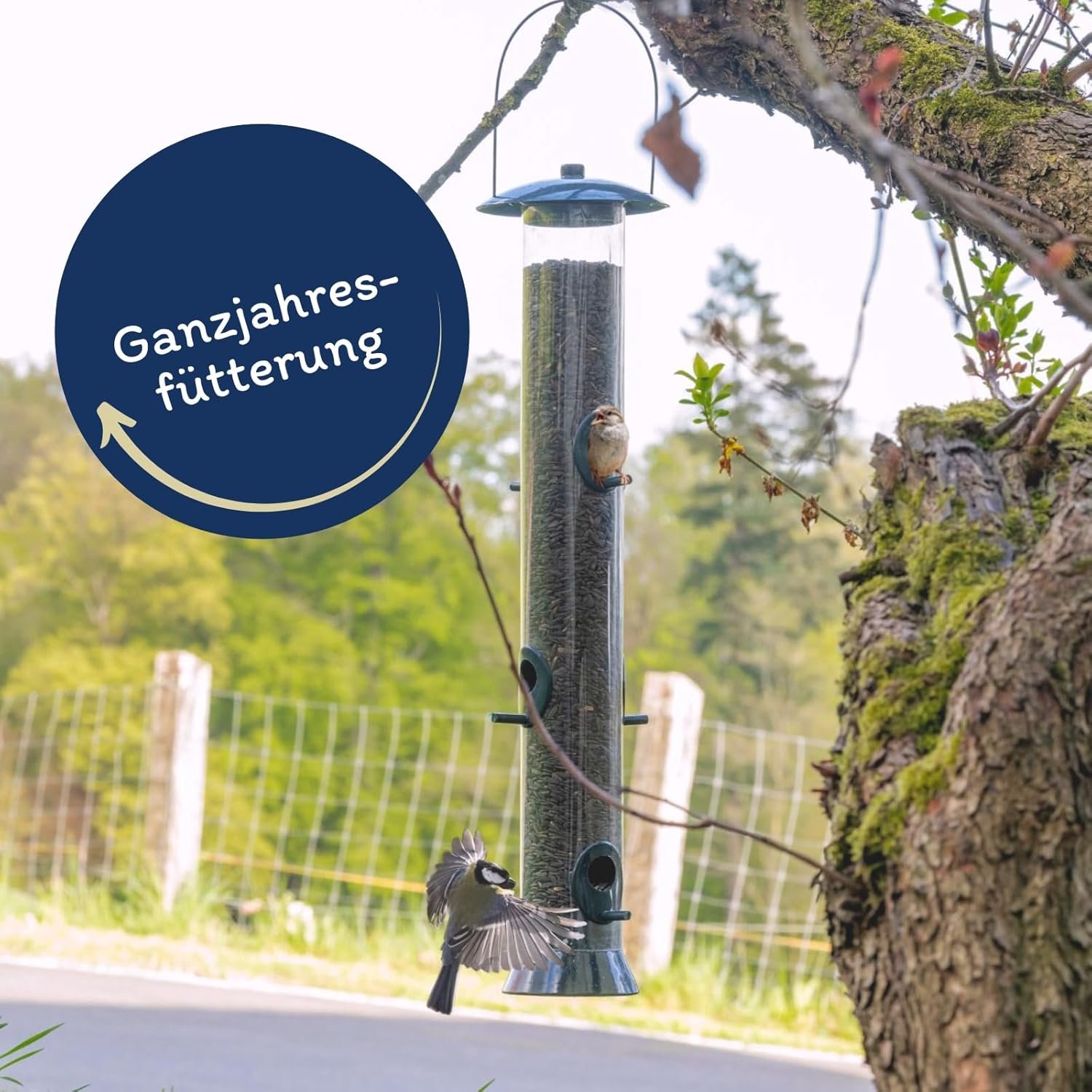 1772306032 71zPiZB7lTL. AC SL1500 .jpg